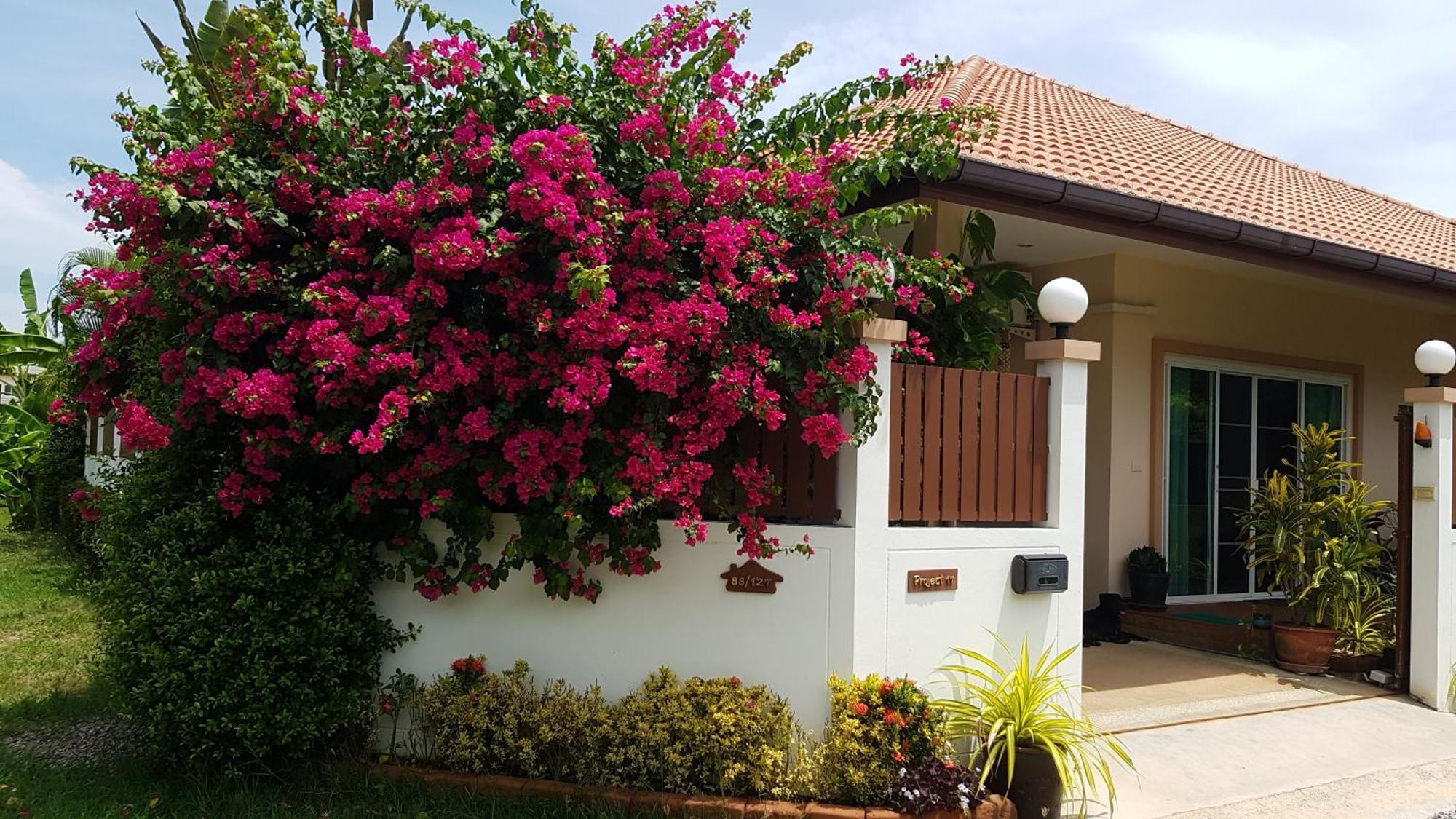 Bed and Breakfast Project 17 HHQ Esterno foto